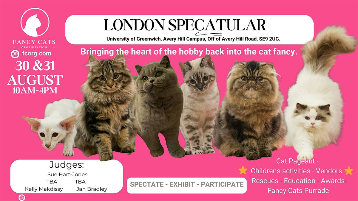 Fancy Cats London SpeCATular