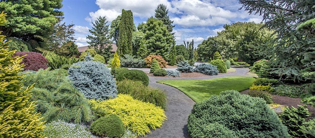 Conifers in Your Garden at Stark