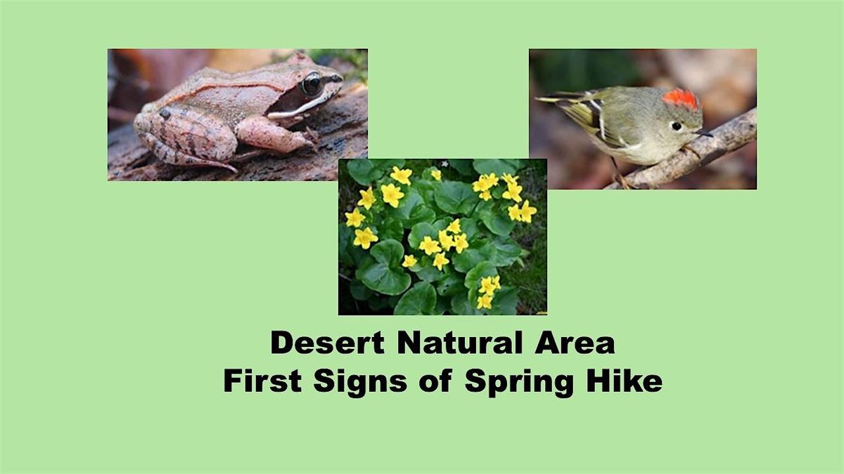 Desert Natural Area         First Signs of Spring Walk