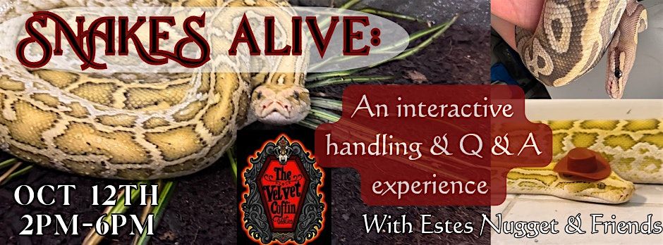 Snakes Alive: An interactive Handling and Q&A Experience
