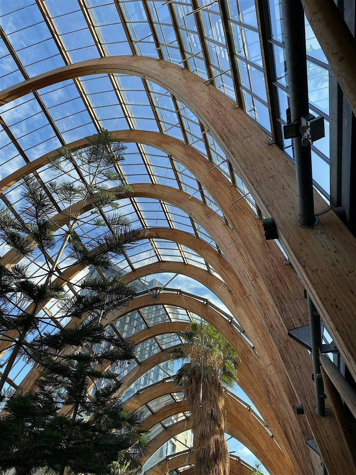 Art Hike & KIN Walks collab:  Buildings That Made Sheffield