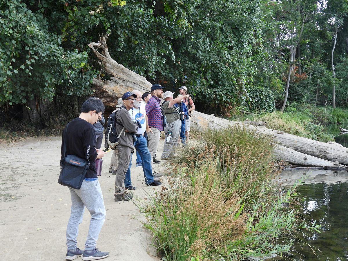 Lodi Lake Bird Walk