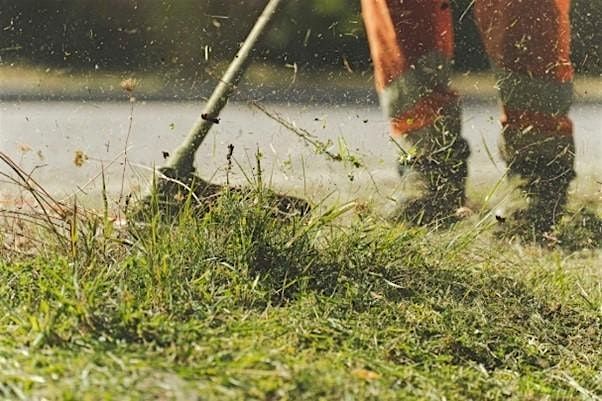 Cadw Tir - Diwrnod Gwybodaeth \/ Groundskeeping - Information Day