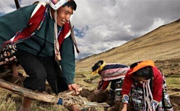 Latin America & Spain Film Festival (Chile)