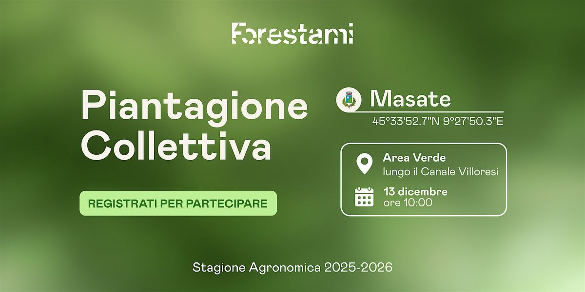 Piantagione Collettiva a Masate