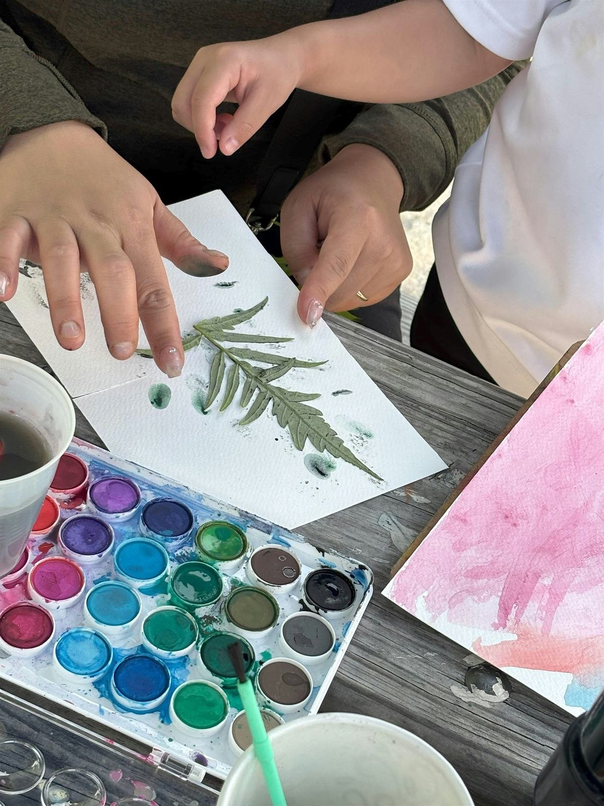Sunset Birding and Watercolors