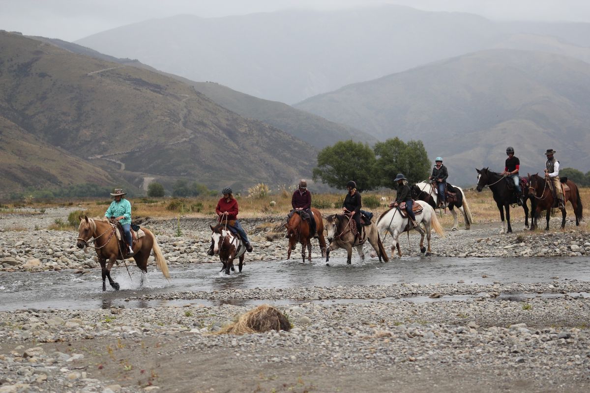 3 Day On The Trail Horsemanship Clinic: Spokane, Washington