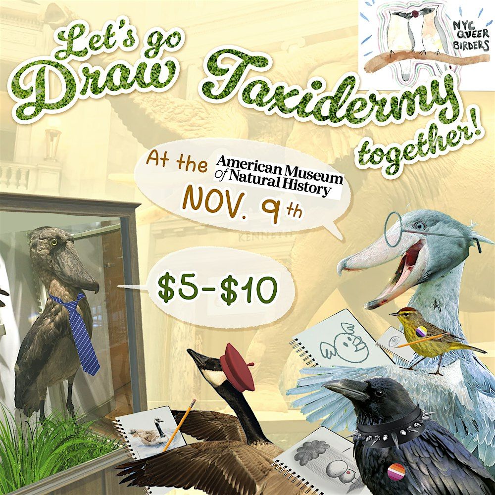 Let\u2019s Go Draw Taxidermy Together !