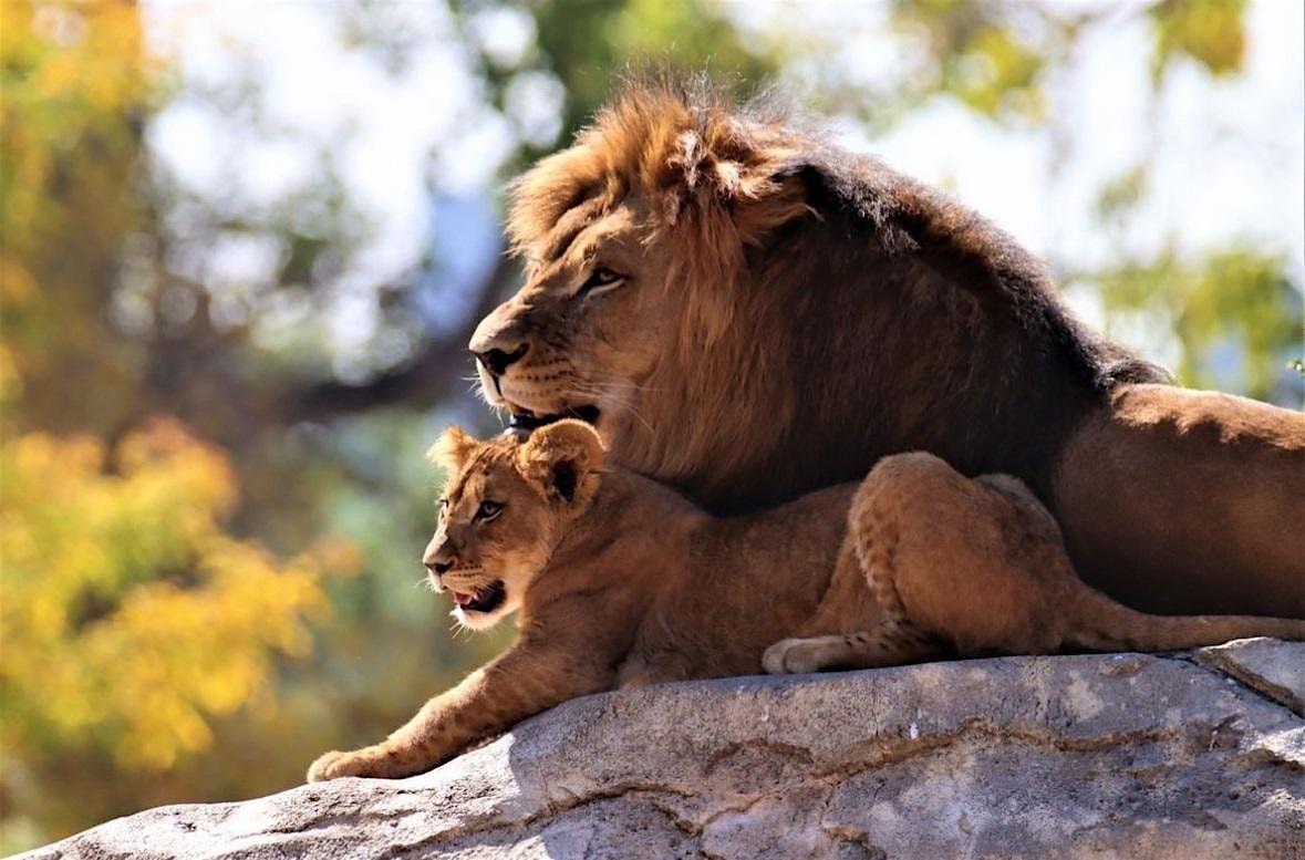 CE at The Zoo 2025