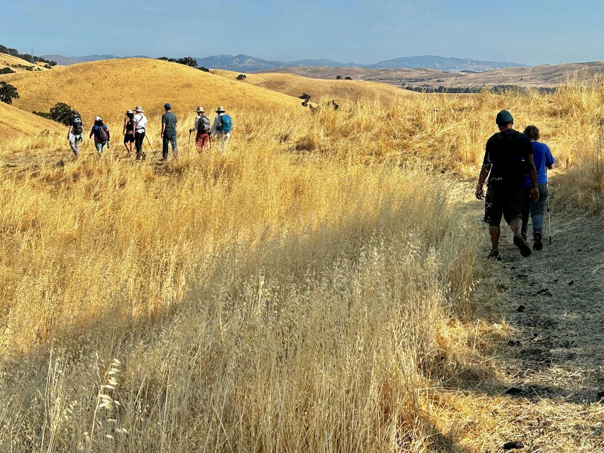 Mangini Ranch Meditation Hike