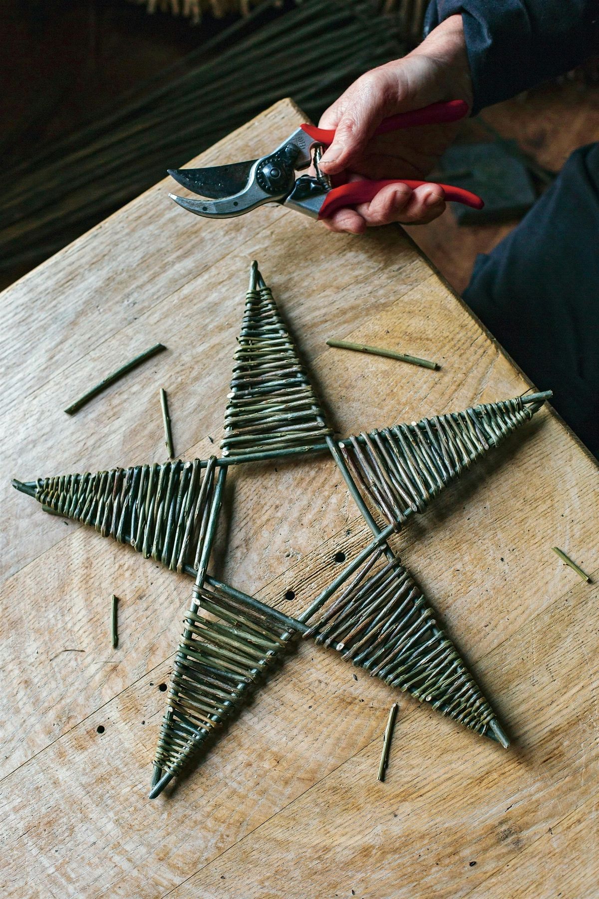 Christmas Star Workshop at Grow Wilder