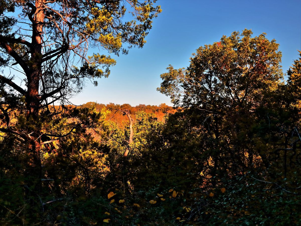 Piedmont Ridge: Hike North Texas with Dallas Sierra Club & Wild DFW