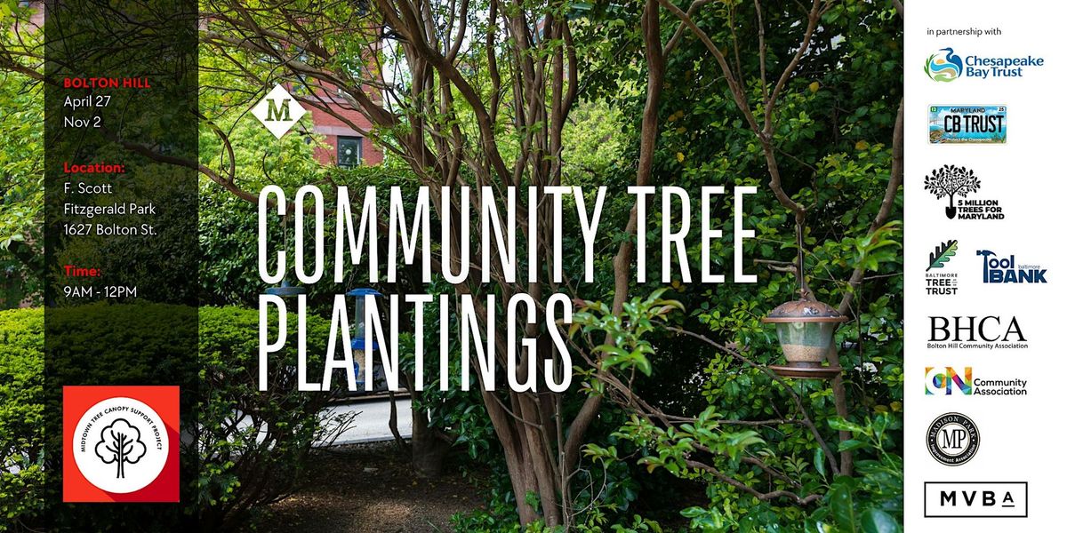 Bolton Hill Tree Planting