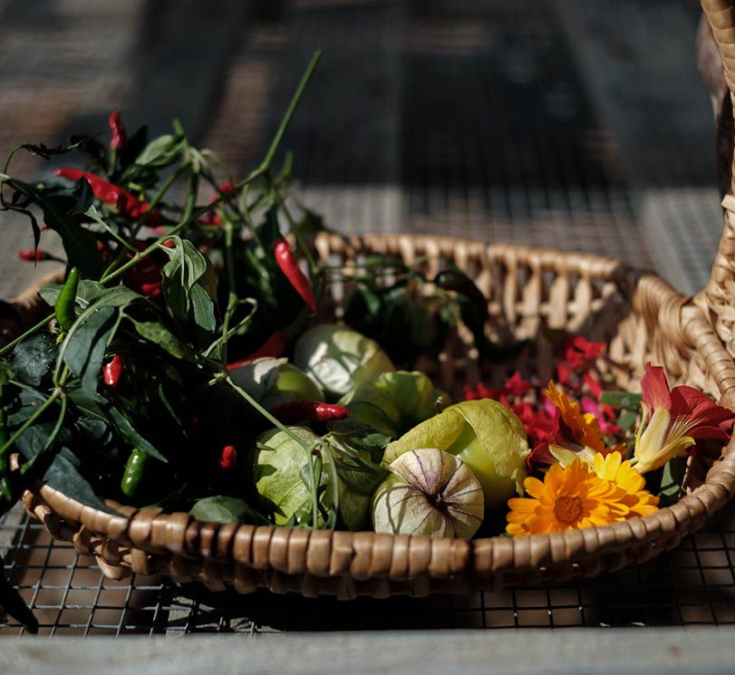 Kristin Family & Friends 'Taste of the Farm' Cooking Class