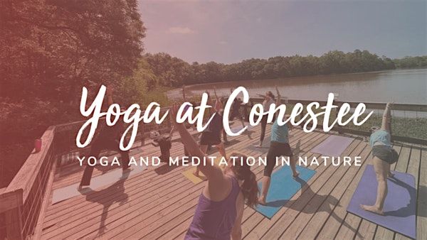 Yoga and Meditation at Conestee Nature Preserve - 3\/15