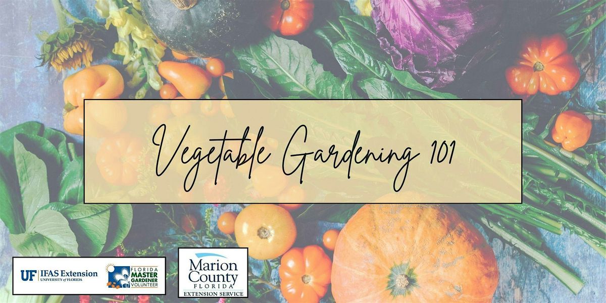 Vegetable Gardening 101