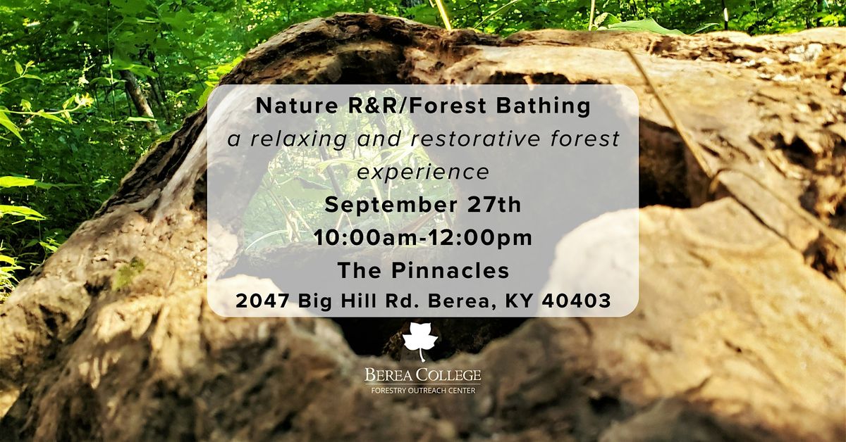Nature R&R\/ Forest Bathing at the Pinnacles