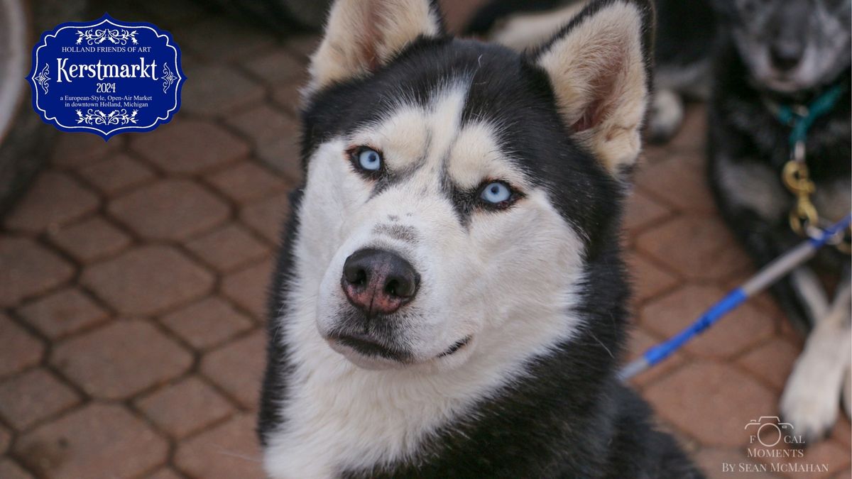 Dog Sled Demonstrations