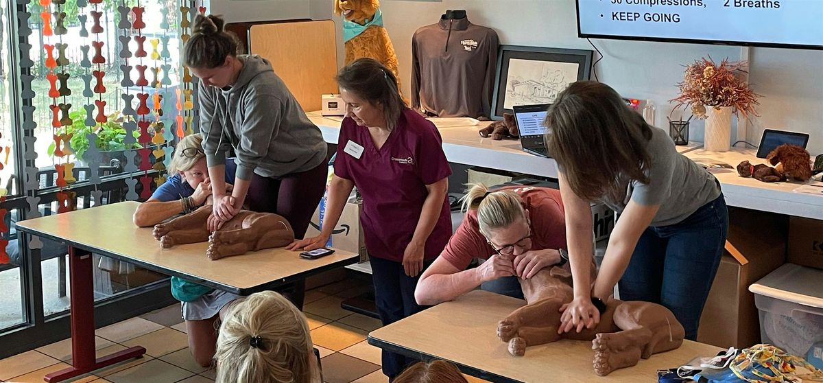 Pet First Aid + CPR for Pet Parents and Pet Sitters