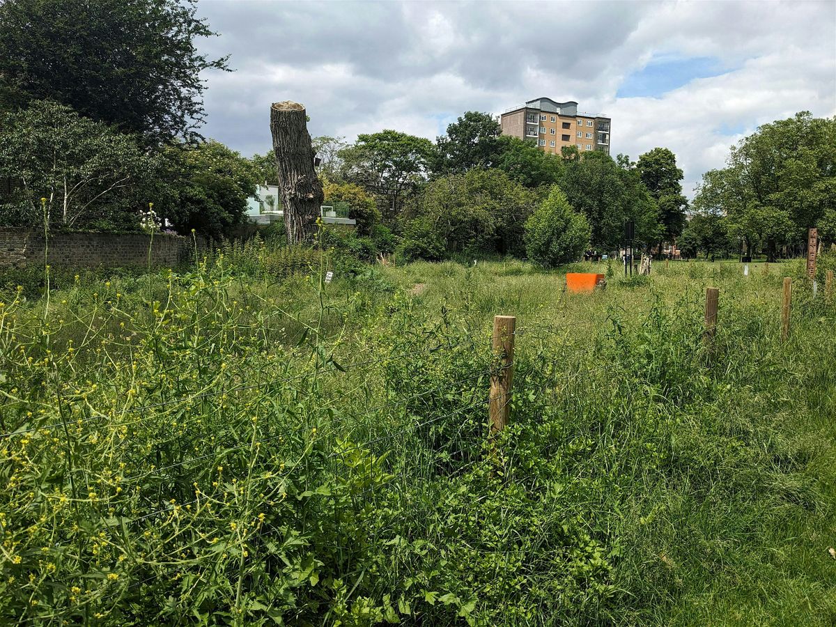 London Fields Biodiversity - site development and upkeep February 2025