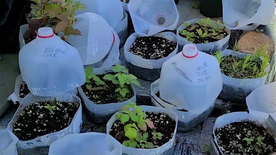 Winter Seed Sowing Workshop