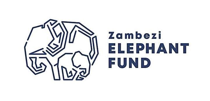 Queen City x Zambezi Fund Throwdown