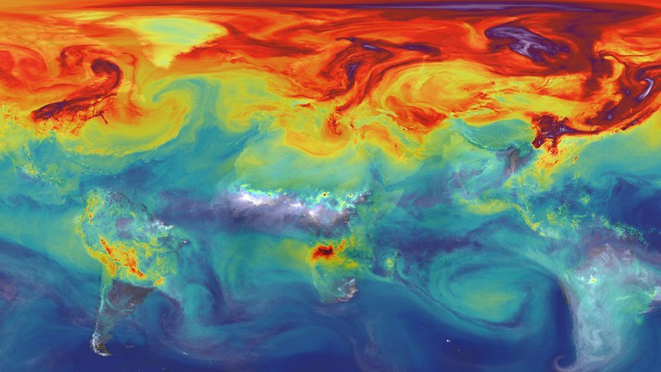 The Carbon Cycle Behind Net Zero