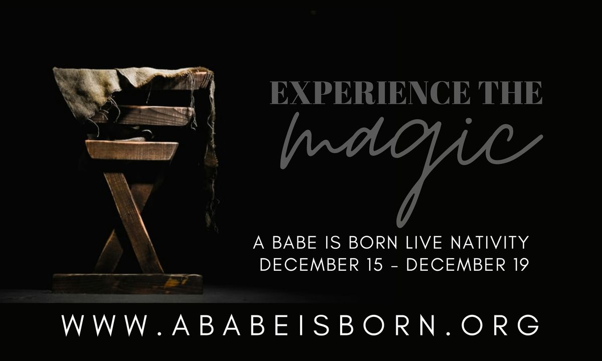 A Babe Is Born Live Nativity 2024