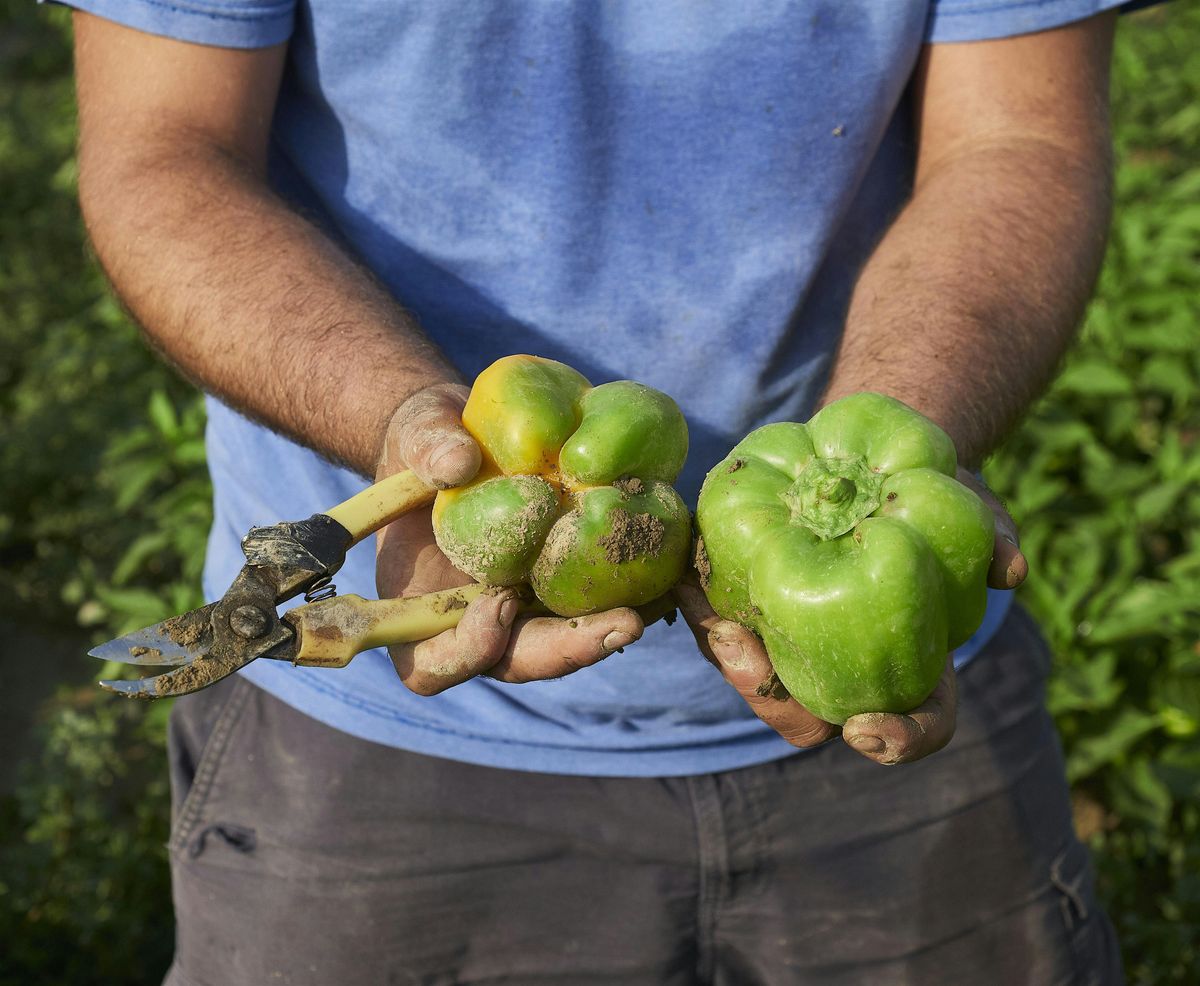 Slow Food Week Milano - I presidi: Peperone di Voghera