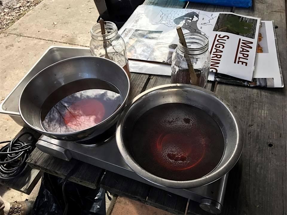 Maple Sugaring at Cass Benton Park