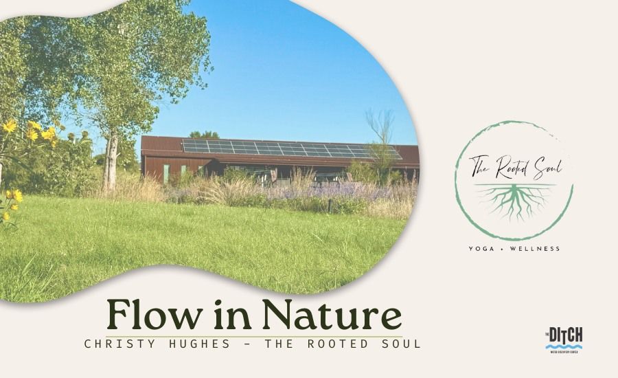 Flow in Nature - Yoga Session with Christy Hughes, The Rooted Soul