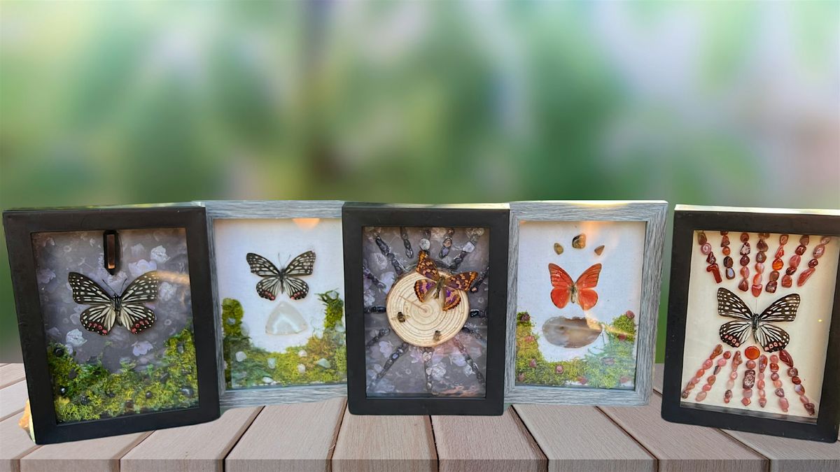 DIY Taxidermy Butterfly Shadow Box Class with Boozy Brunch