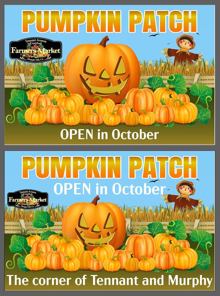 Tennant Market Pumpkin Patch