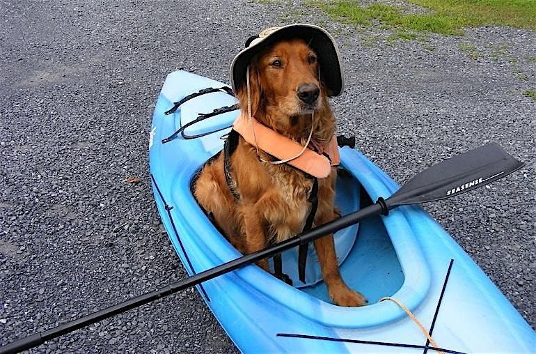 PUP - N - PADDLE DAY