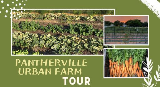 Pantherville Urban Farm Tour