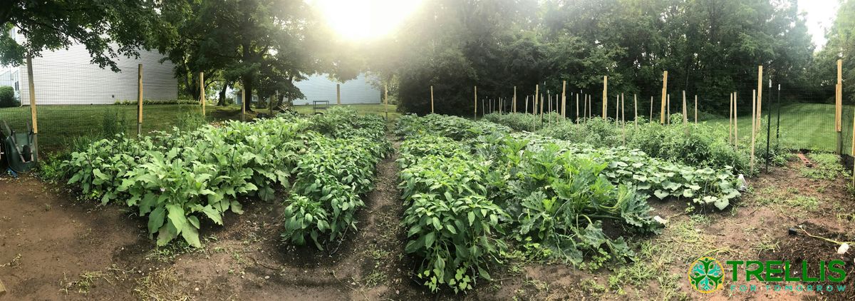 Volunteer Day at Park Spring Community Garden