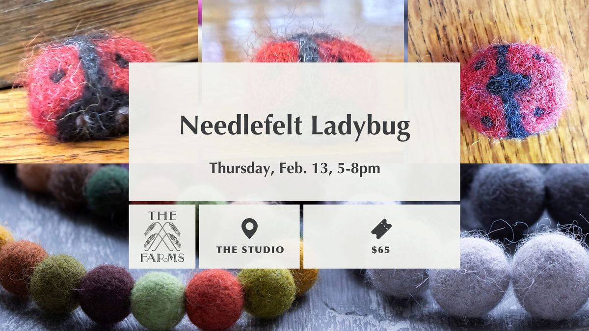 Needlefelt Ladybug