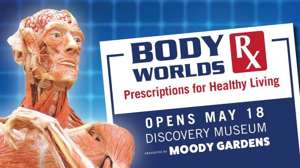 BODY WORLDS RX | Discovery Museum @Moody Garden | Galveston, TX 77554 