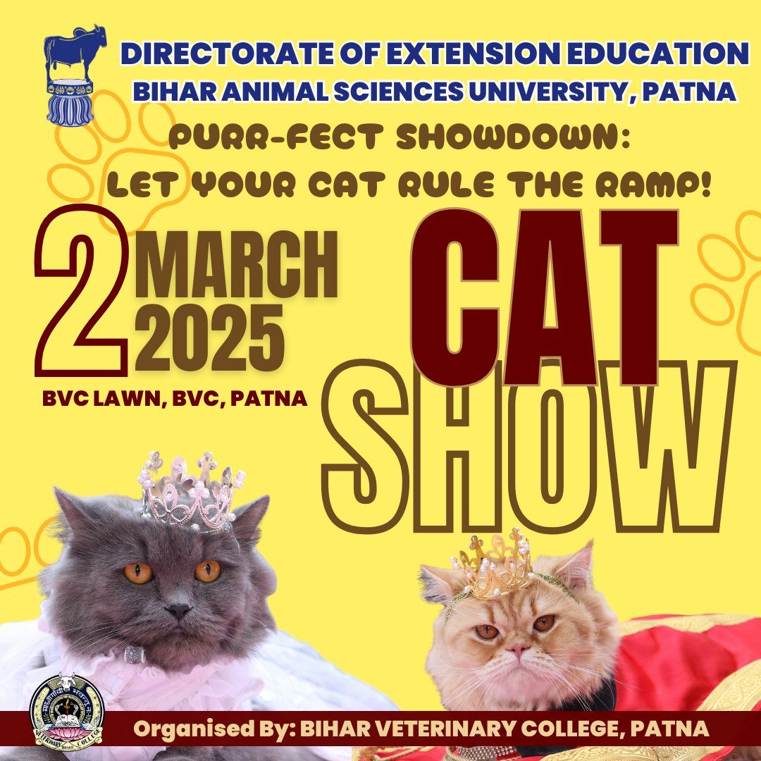 CAT SHOW 2025