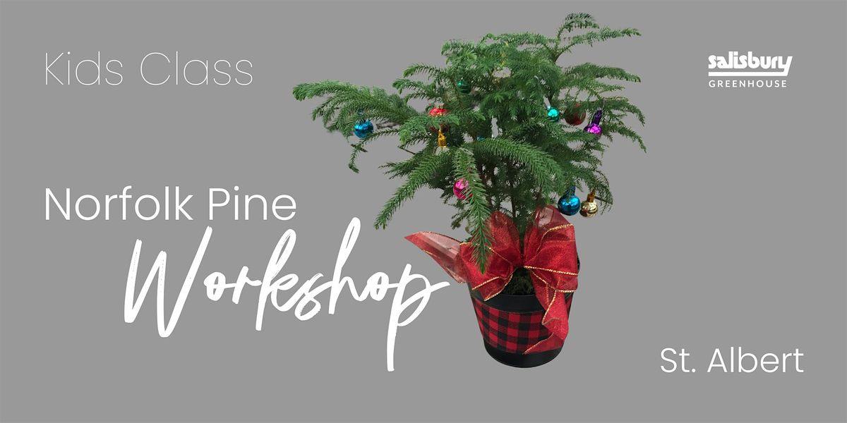 Norfolk Pine Decorating | Kids Workshop| Salisbury at Enjoy