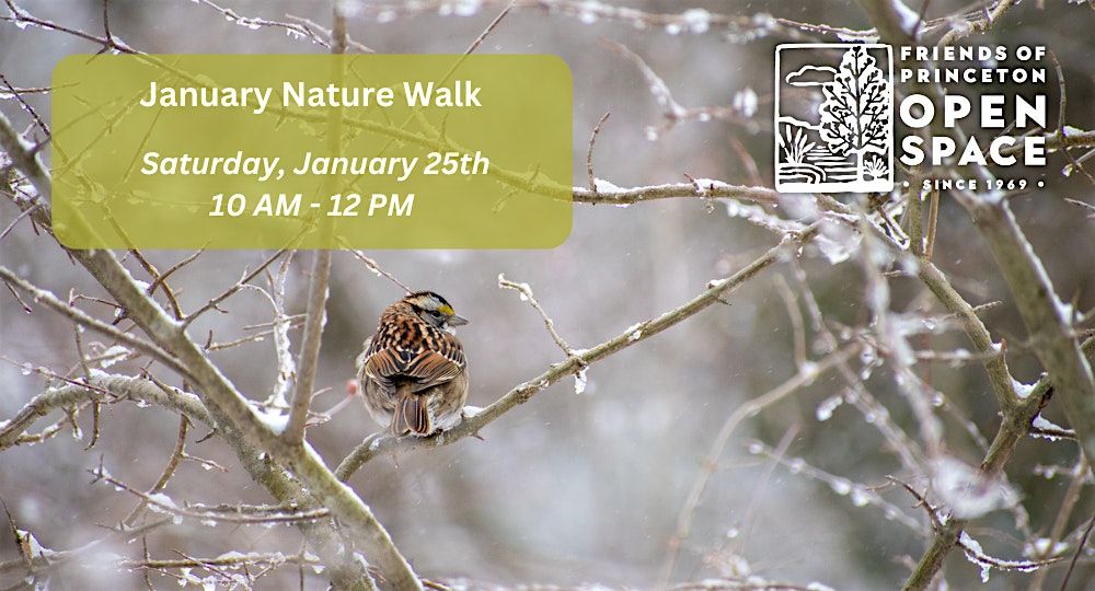 January Nature Walk \/\/ 1.25.25