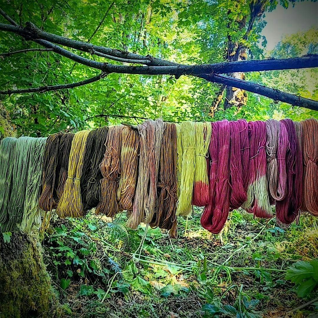 Natural Dyeing with Invasive Plants