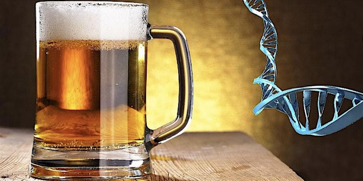 Oktoberfest Networking and Vendor Night