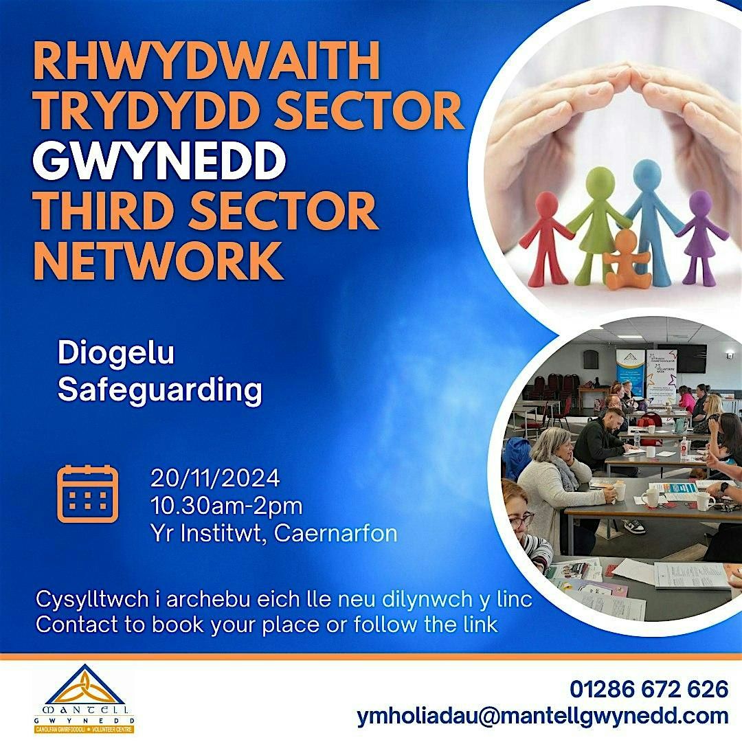 Rhwydwaith Trydydd Sector Gwynedd - Diolgelu