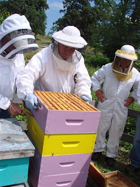 Beginning Beekeeping Rochester NY 2025