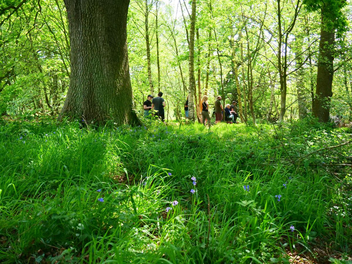 NWT Sweet Briar Marshes: Explore with the warden (12 November)