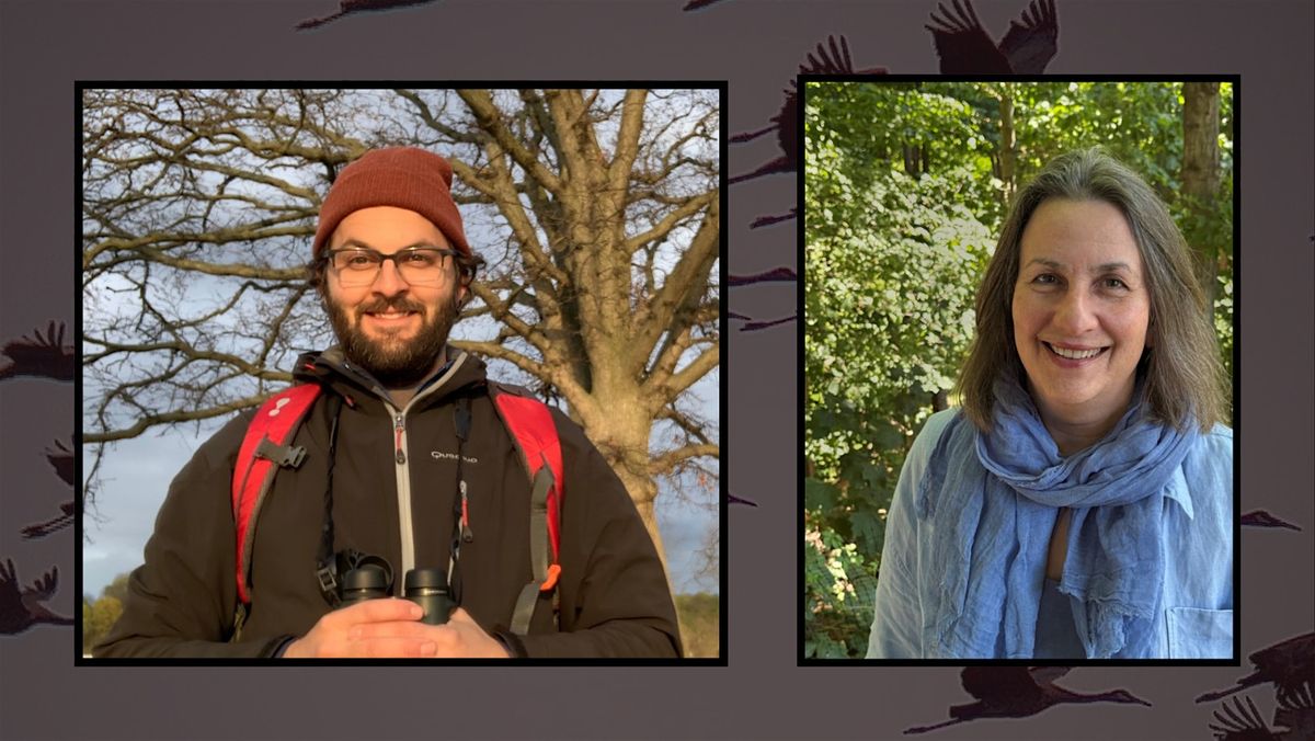 Art and Climate Change panel talk: Local Ecology