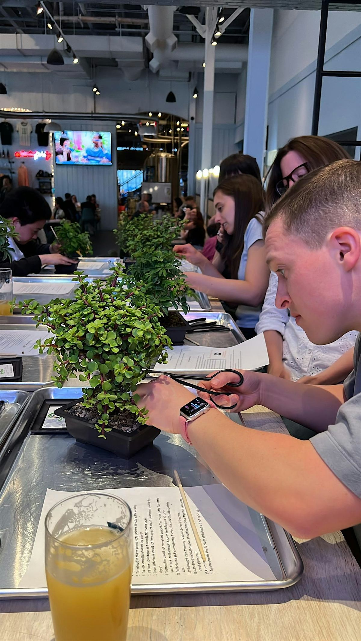 Beer and Bonsai Workshop at Union Craft Brewery