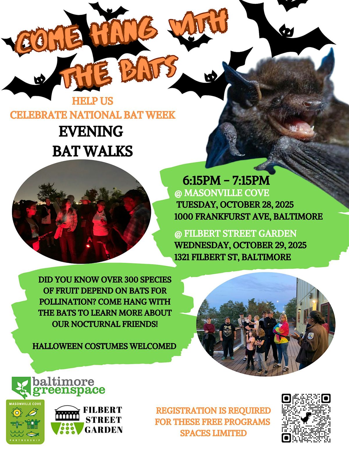 Bat Walk