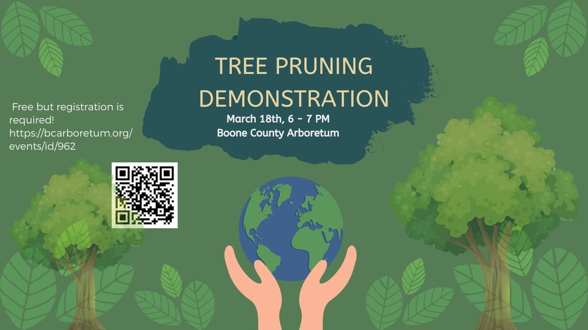 Tree Pruning Demonstration